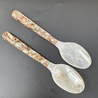 Cuillère à coquille de 16 cm avec long manche en acrylique, cuillère à café de luxe, vaisselle de restaurant et d'hôtel, cadeaux de mariage, cadeaux d'affaires