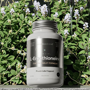 Ergothioneine ยาเม็ดอาหารเสริมสมองมังสวิรัติยาเม็ดสกัดจากแปะก๊วยสกัดจากแปะก๊วย bilashwagandha ยาผลิตตามสั่ง - Product Image 5