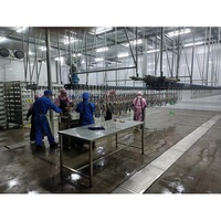 Équipement de lignes d'abattage pour poulets, pigeons, cailles, oies, lapins, oiseaux et canards