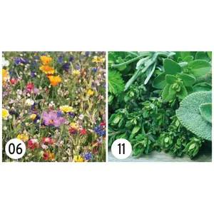 Kit di semi di fiori selvatici, merchandising sostenibile - Product Image 2