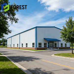 Cancha de Baloncesto Profesional de Estructura Transparente, Económica y Sostenible, Construcción Ecológica para la Región de Oriente Medio - Product Image 1