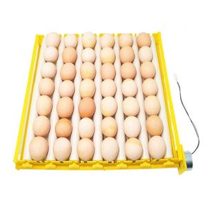 Incubateur entièrement <span class=keywords><strong>automatique</strong></span> compact, <span class=keywords><strong>fiable</strong></span> et durable, pour plateaux d'œufs de poulet, de canard et de caille, en matériau PP - Product Image 6