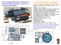 Pompe à vide rotative à palettes à basse pression DLT V0100, étanche à l'huile, 100 m³/h, 3,0 kW, 4 CV, triphasée 60 Hz, usinage OEM