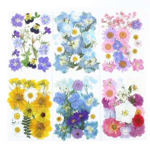 Kit <span class=keywords><strong>de</strong></span> Manualidades con Flores Prensadas Naturales Mixtas, Flores Secas Reales para Resina Epoxi, Decoración <span class=keywords><strong>de</strong></span> Uñas, Manualidades, Creación <span class=keywords><strong>de</strong></span> Adornos - Product Image 5
