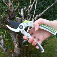 Sécateur de jardin manuel VERTAK de 8 pouces, en acier au carbone, avec poignée en aluminium, pour plantes à fleurs et fruitières