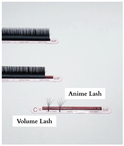 Choix de l'artiste coréen Extensions de cils Volume russe 0.07mm C D CC Curl Noir mat Technologie de ventilateur facile - Product Image 3