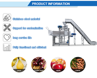 Automatische Fruitlift Wasmachine Molen En Juicer Groente Reiniging Transportband Wasmachine Sapcentrifuge Afzuigmachine Machine