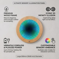 Panneau mural LED à effet miroir infini pour salle sensorielle de maternelle, équipement de jeu lumineux pour garderie et école Montessori