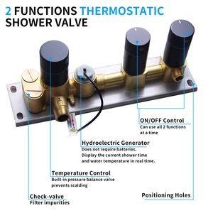Matte Black 2 Function Temperature Display <b>Shower</b> Mixer 2 Way Push-Button <b>Shower</b> Diverter With Independent Volume <b>Control</b> HD-V05 - Product Image 5