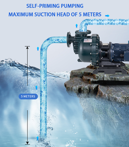 MG serisi 1hp ila 5hp galvanik sıvı makinesi manyetik yatay santrifüj su pompası - Product Image 3