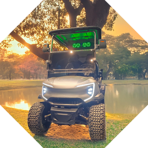 Carrito de golf eléctrico de alta calidad con 6 asientos y 4000W - Product Image 3