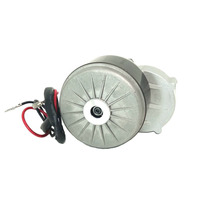 Kit de conversion pour voiturette de golf 24V à aimant permanent haute efficacité 250W, moteur électrique à couple élevé, fauteuil roulant électrique, appareil électroménager