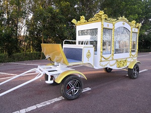 Nuevo Coche Fúnebre Eléctrico Personalizado, Ataúd Refrigerado, Suministros Funerarios, Coche Fúnebre Tirado por Caballos, Furgoneta de Transporte Especial - Product Image 5