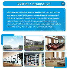 Alta potenza 400 miliardi di Cfu/G migliorano la salute orale e riducono l'infiammazione delle gengive con probiotico latticaseibacillus Paracasei - Product Image 4