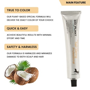 Fabbrica OEM colore dei <span class=keywords><strong>capelli</strong></span> verdi Color crema per il salone professionale basso ammoniaca colorato Semi permanente per la tintura per <span class=keywords><strong>capelli</strong></span> colore crema - Product Image 2