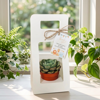 Boîte d'emballage de fleurs portable personnalisée, boîte cadeau simple pour plantes succulentes, carton blanc laminé