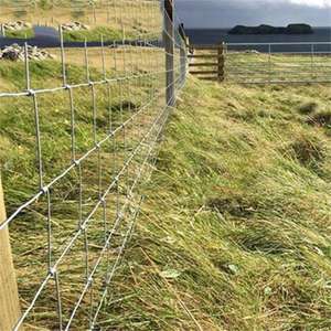 Valla Agrícola Económica de Nudos Fijos, Valla Galvanizada para Campos, Protección Contra Cabras - Product Image 4