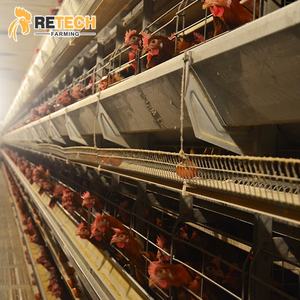 Volaille — maison de volaille automatique au Design moderne, cadre en H, cage à couche de poulet galvanisé à chaud, vente à chaud - Product Image 1