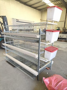 Jaula Automática Tipo H de 3 Niveles y 4 Puertas para 96 Aves, 1880x1100x1730mm, Equipo de Avicultura Galvanizado con Corte Láser - Product Image 2