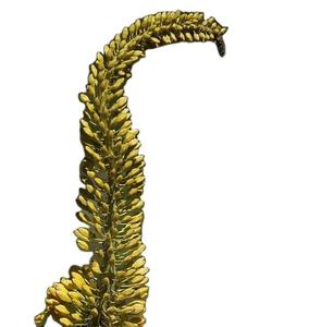 Pó de Extrato de Bulbine <span class=keywords><strong>Natalensis</strong></span>/Bulbine <span class=keywords><strong>Natalensis</strong></span> - Product Image 1