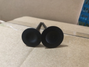 Válvula de escape de precio al por mayor USEKA VE0042 ET ENGINETEAM para Chevrolet OEM 641357, 90536154, 341002 - Product Image 2