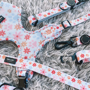 Fabricante al por mayor de lujo elegante cómodo suave poliéster moderno impreso perro arnés duradero acolchado perro Correa conjunto - Product Image 1