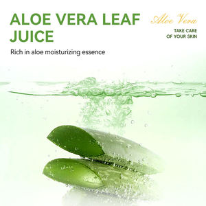 Espuma Limpiadora Facial de Aloe Vera Icesea 120g, Espuma Rica con Cepillo, Limpiador Suave y Refrescante, Venta al Por Mayor OEM - Product Image 5