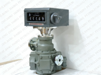 Medidor de Flujo de Combustible de Alta Precisión, Contador Mecánico para Medir Gasolina, Diésel y GLP