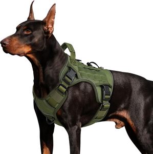 Muestra gratis, superventas, abrigo de invierno para perros con arnés, ropa para mascotas resistente al agua, chaqueta para perros a prueba de viento - Product Image 2