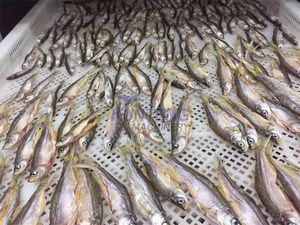 VENTA China Venta al por mayor Eficiencia 20 capas Máquina deshidratadora de carne Horno de secado de pescado <span class=keywords><strong>Precio</strong></span> de secador de alta temperatura - Product Image 4