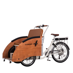 Vélo <span class=keywords><strong>de</strong></span> <span class=keywords><strong>transport</strong></span> électrique à trois roues, tricycle électrique à chargement frontal pour adultes - Product Image 2