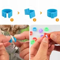 Anneaux de pattes de poulet en plastique numérotés de 16 mm, étiquettes colorées pour l'identification des volailles, des canards, des oies et des pigeons
