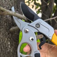 Ciseaux de taille en caoutchouc à capacité de coupe de 2 cm, à droite, en acier au manganèse, à mode de contournement, à économie d'effort, de type segmenté manuel