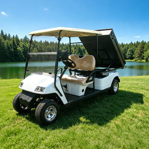 Voitures de golf électriques personnalisées, 2 places, véhicule chinois pas cher - Product Image 4