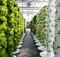 Systèmes de culture hydroponique verticaux intelligents en forme de pétale, système de jardinage en tour, serre hydroponique pour légumes