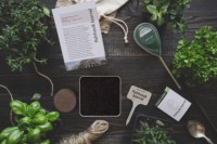 Kit de Testeur de PH Numérique Écologique NPK pour Cactus et Plantes Succulentes, Capteur d'Humidité pour Pots de Fleurs, Jardin Domestique - Vente en Gros Usine