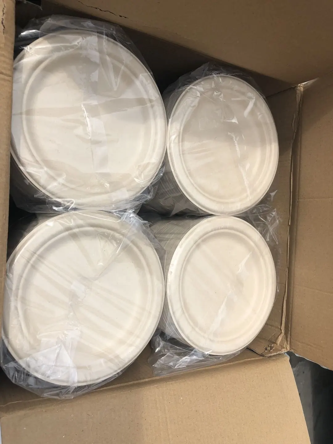 White Eco-Friendly Disposable Plates Biodegradable Compostable Sugarcane bagasse paper Plates