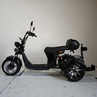 Triciclo de Carga a Gasolina de 3 Ruedas Loyal en Oferta, Motorizado de 2000W, Fabricación China, Tipo Motocicleta de 60V