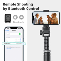 AIKEGLOBAL Prix d'usine Aluminium Stable Trypod Stand Selfie Stick Téléphone Trépied pour Tiktok Shooting Vlog avec Smartphone