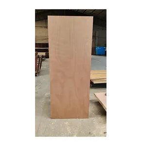 Budget internal plywood flush door smooth surface 800x2100x40mm