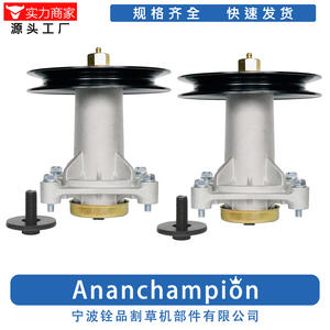 Ensemble de broches 0331, poulie 187292 195945 avec boulons de fixation, lot de 2, pour pièces de tondeuse à gazon - Product Image 2