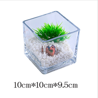 Vente en gros de pots de fleurs carrés en acrylique pour aquarium, mini bocal à poissons en porcelaine pour le bureau, vase à poissons pour la maison et l'art