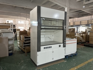 Cappa canalizzata cappa cappa per chemioterapia laboratorio mobili ospedali farmacie scuole officine ferro acciaio PP <span class=keywords><strong>vetro</strong></span> metallo - Product Image 2