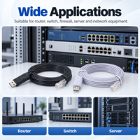 Câble de console USB FTDI 6FT USB-A mâle vers RJ45, adaptateur série, longueur personnalisée, pour routeur, commutateur, réseau, USB vers RJ45