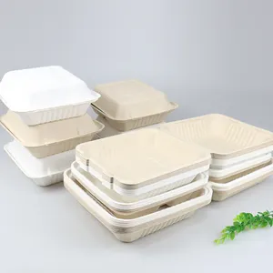 Biodegradable Paper Pulp Lunch Container Sugarcane Bagasse commercial food container1000ml 800ml 500ml