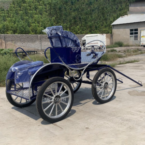 Venta Directa de Fábrica, Mini Carroza Eléctrica de Lujo Azul de 4 Ruedas, Hermosa Carruaje Eléctrico - Product Image 1