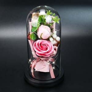 Vera rosa con Rose stabilizzate a luce LED in vetro cupola di fiori eterni per ragazza donna regalo di san valentino rosso rosa Ainy - Product Image 1