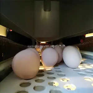 鶏の巣ケージ養鶏場の卵コレクターを産む自動鶏の巣箱