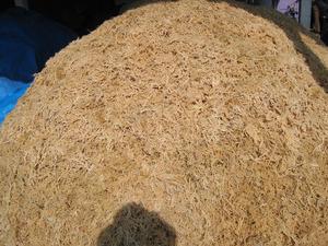 Eucheuma cottonii จากเวียดนามผลิตภัณฑ์ทางการเกษตรเกรดสูง - Product Image 2