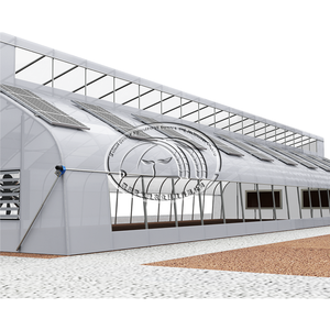 Invernadero Solar Fotovoltaico de Bajo Costo con Panel Solar de un Solo Tramo, Película de Plástico Fotovoltaica, Invernadero Solar para Agricultura - Product Image 6